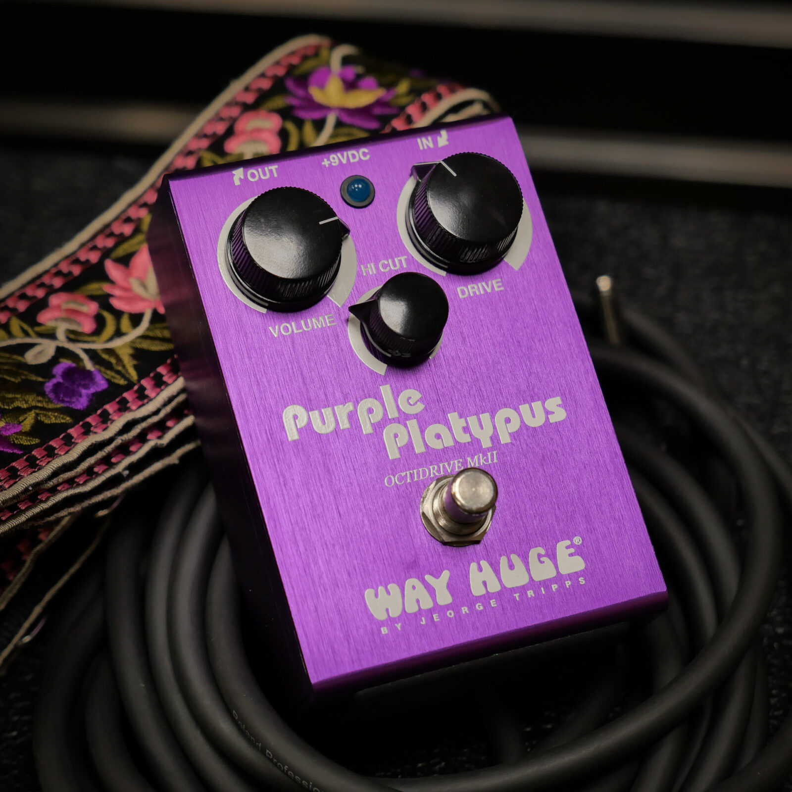 Way Huge PURPLE PLTYPUS