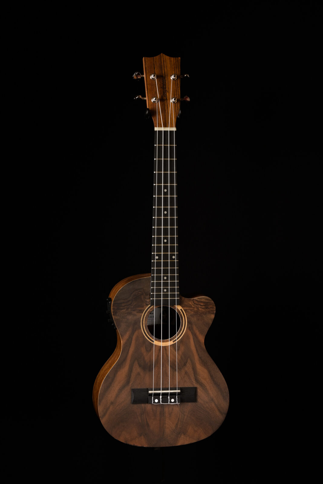 Tanglewood TWT22E