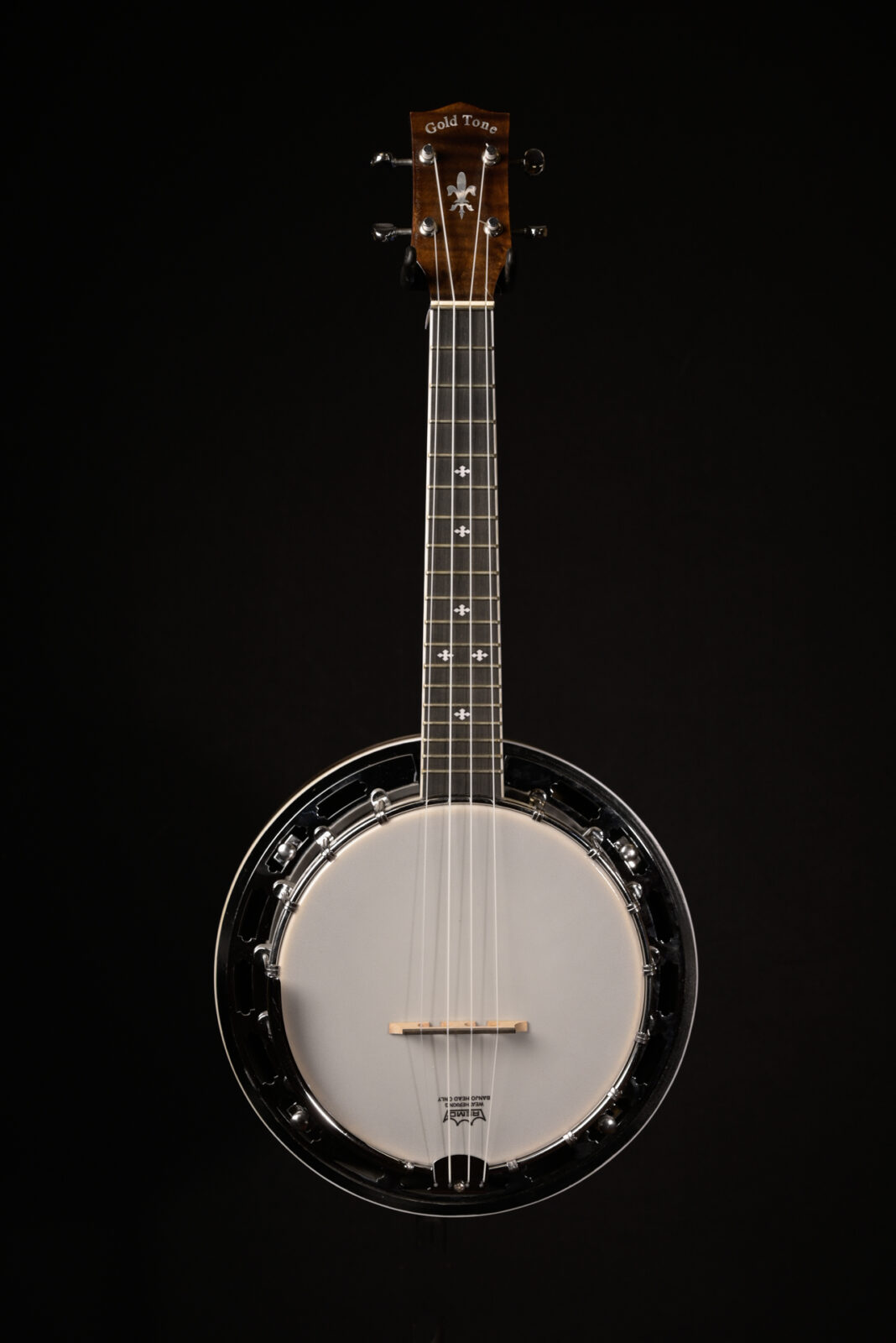 Goldtone BANJOLILE DLX