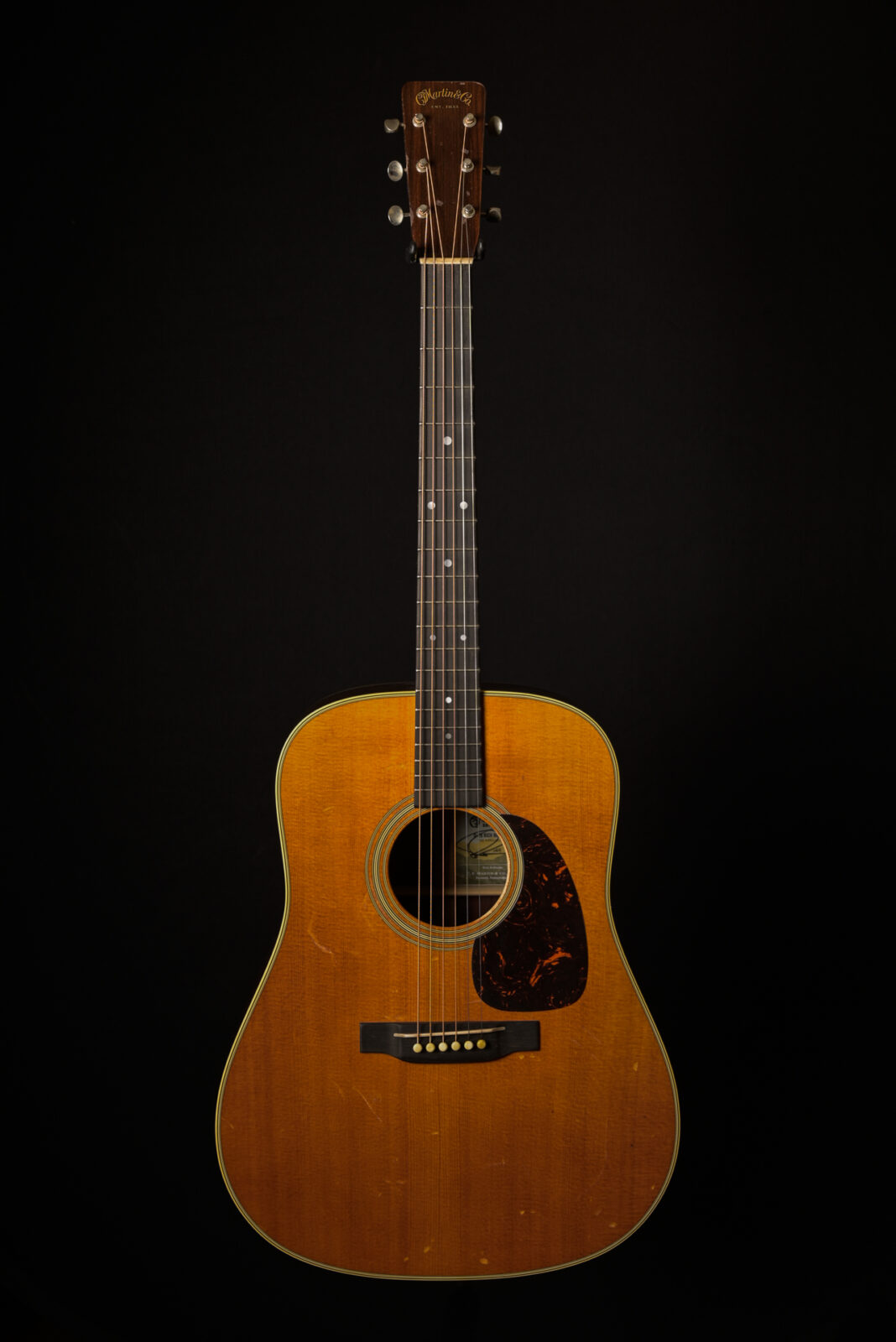 Martin D-28 RICH ROBINSON