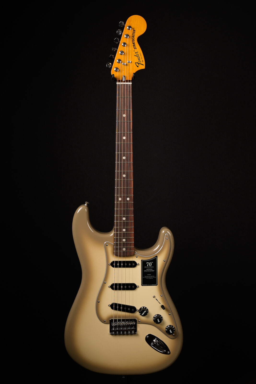 Fender PLAYER STRATOCASTER