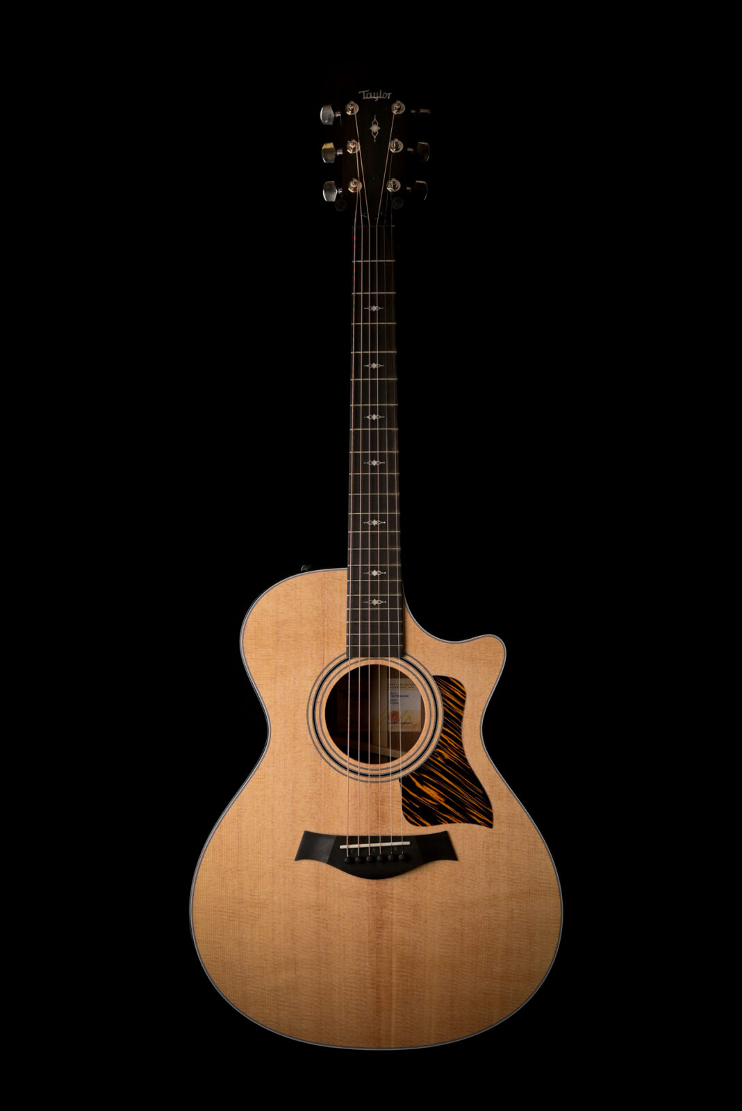 Taylor 312CE