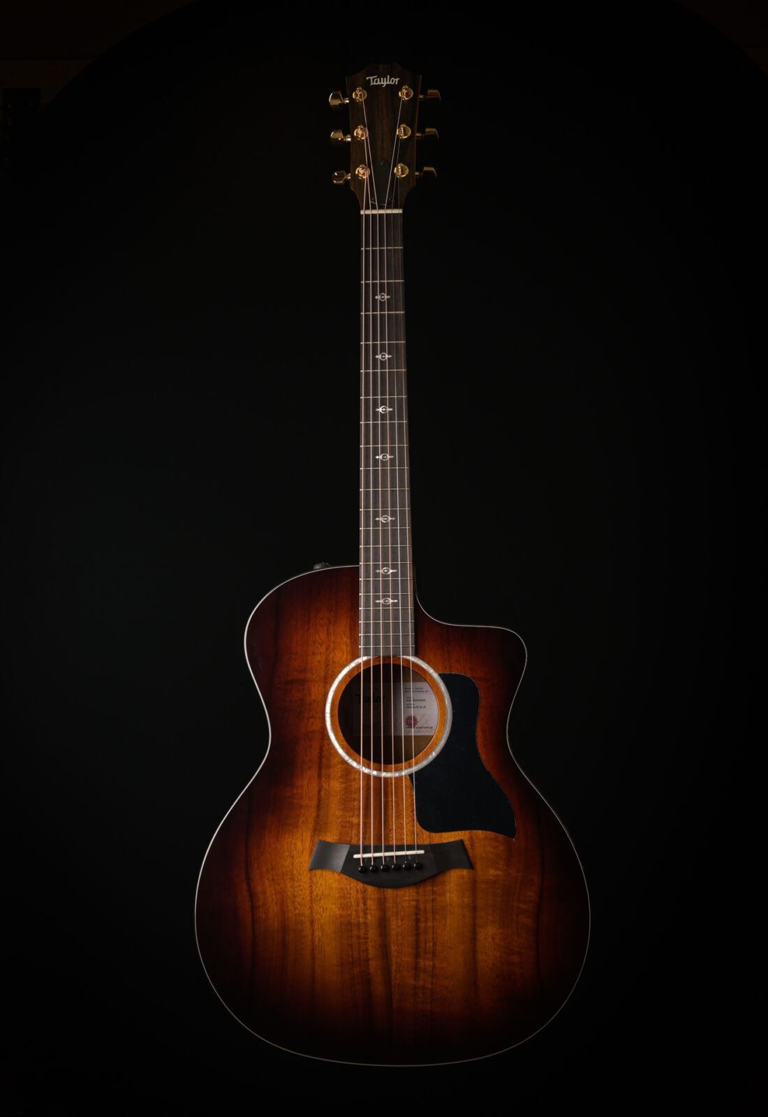 Taylor 224CE K DLX