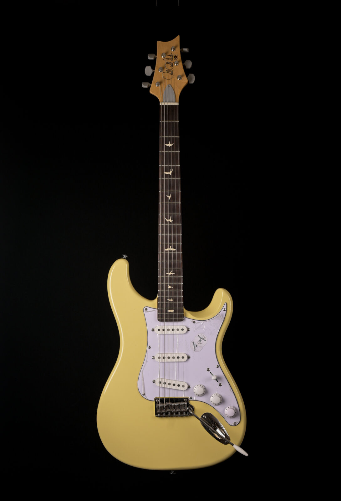 Paul Reed Smith SE SILVER SKY