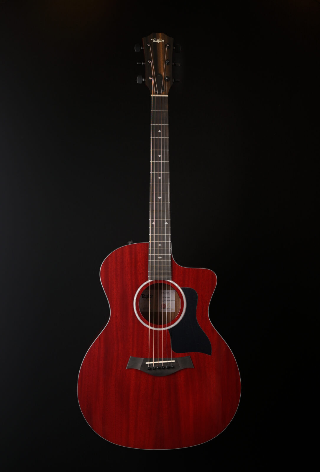 Taylor 224CE SPECIAL EDITION