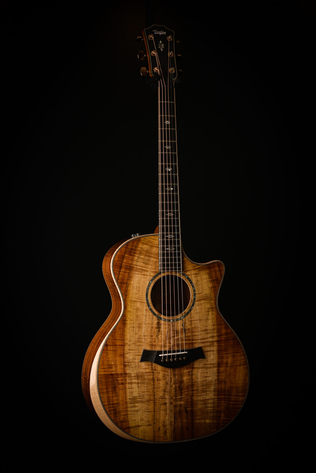 Taylor CUSTOM GA KOA
