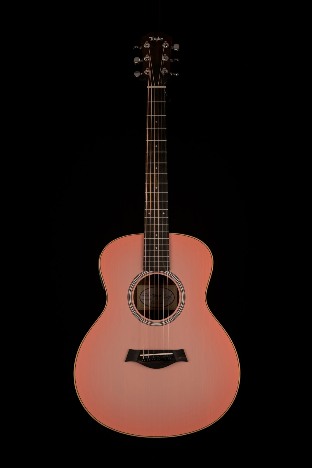 Taylor GS MINI E