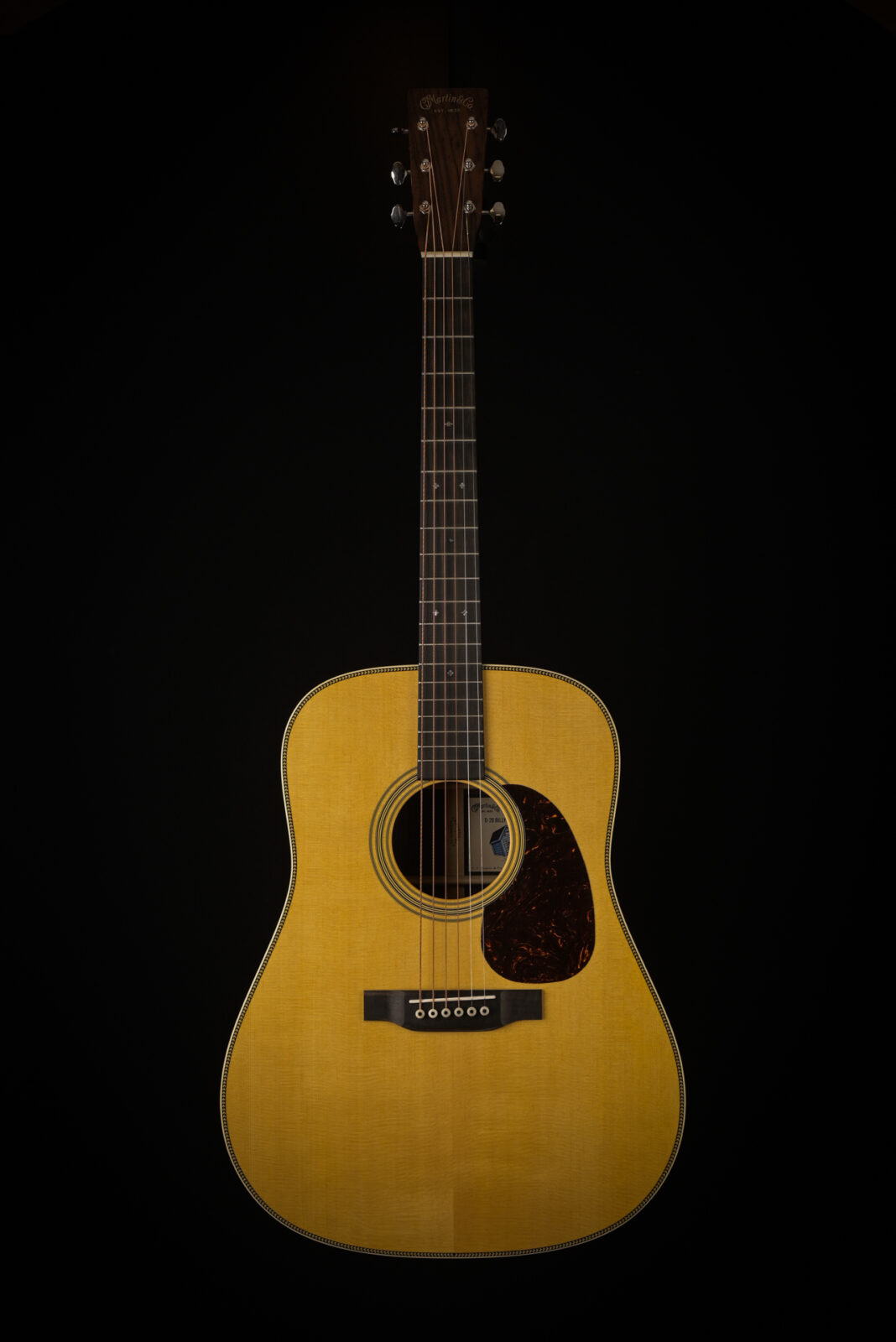 Martin D-28 BILLY STRINGS