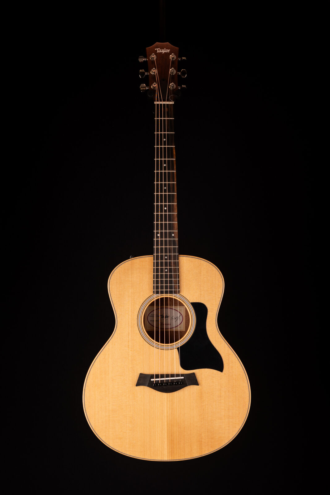 Taylor GS MINI E SE ROSEWOOD +