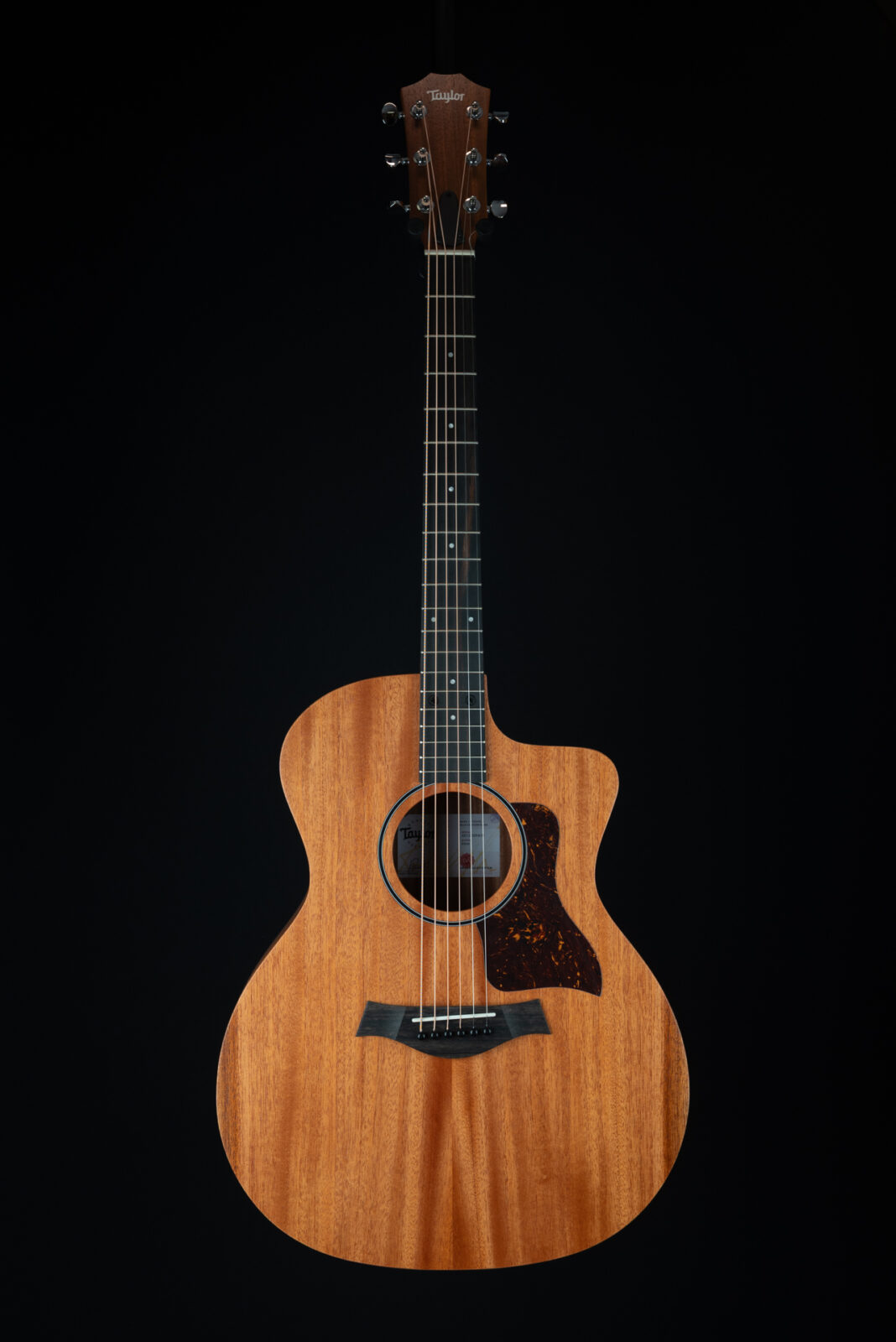 Taylor 24CE