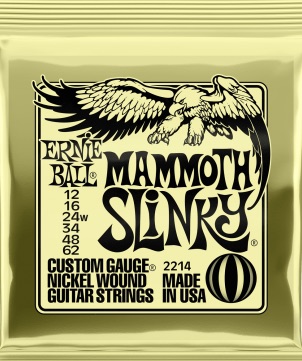 Ernie Ball 2214