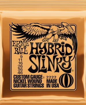 Ernie Ball 2222