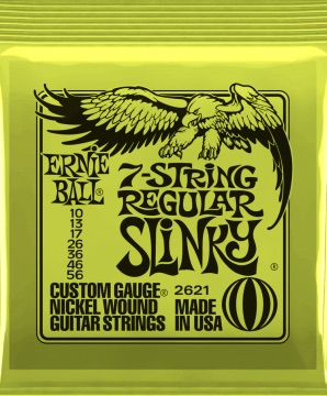Ernie Ball 2621