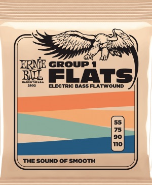 Ernie Ball 2802
