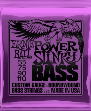 Ernie Ball 2831