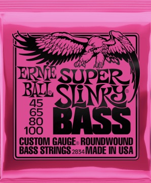 Ernie Ball 2834