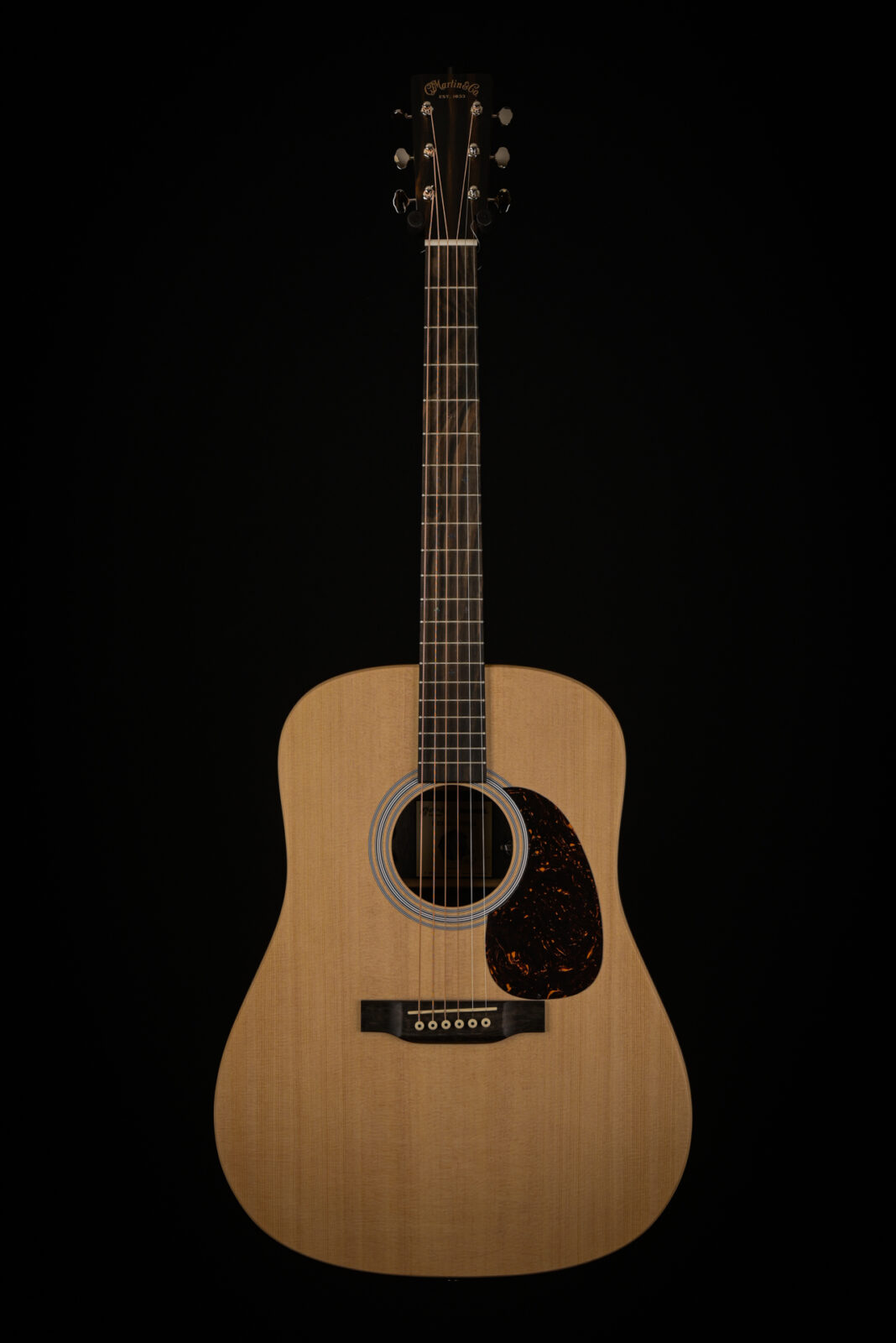 Martin D-X2E BILLY STRINGS