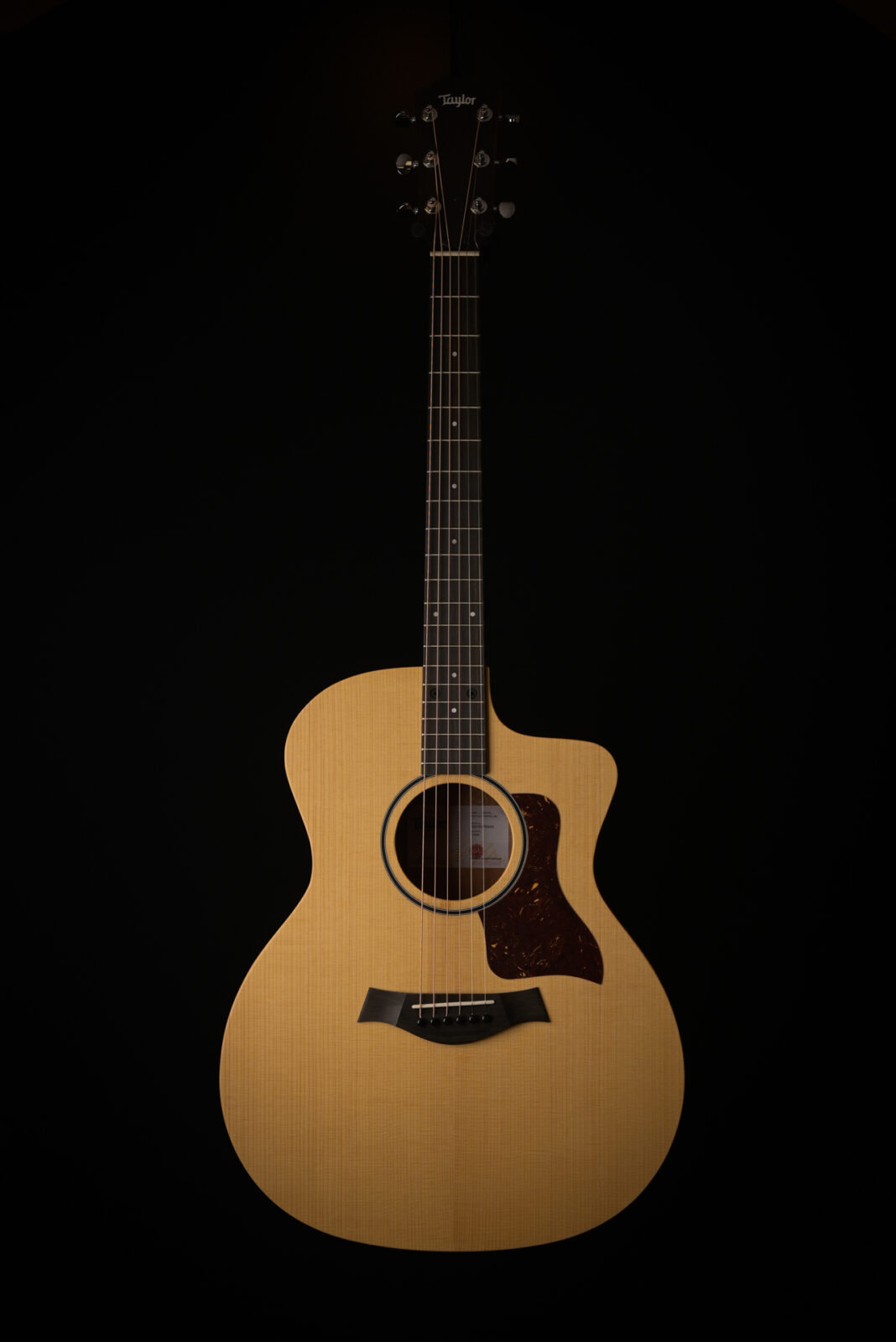 Taylor 14CE