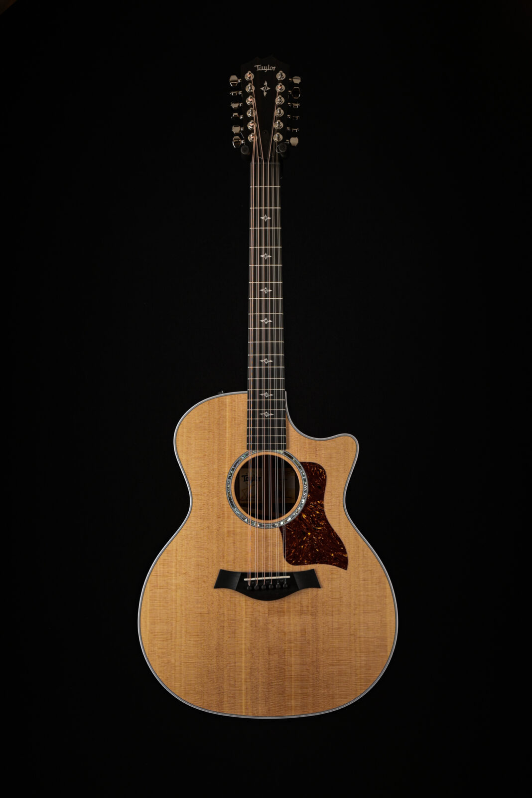 Taylor 454CE