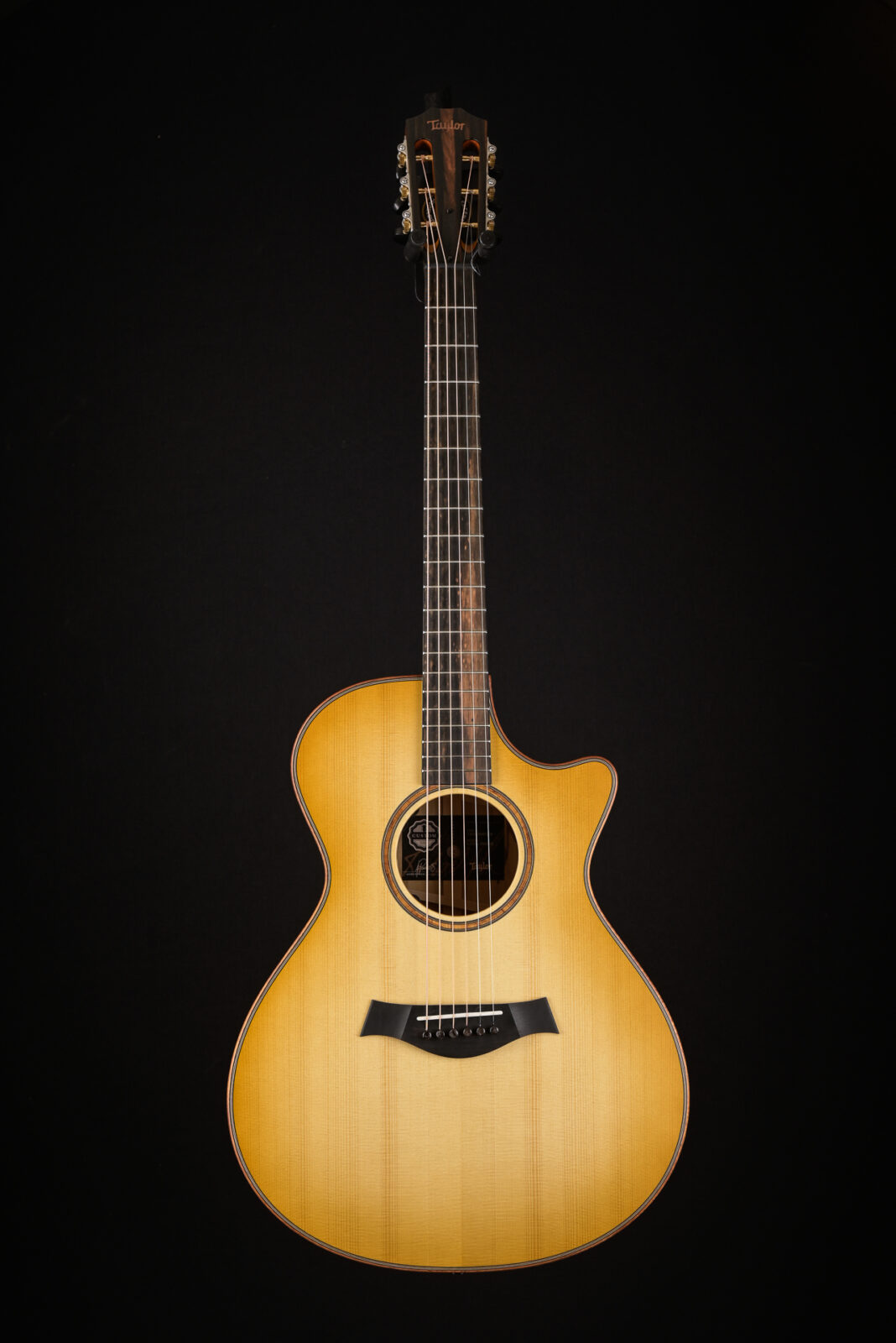 Taylor CUSTOM GA B6026