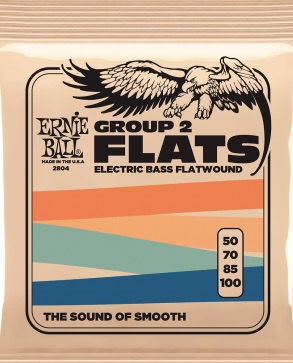 Ernie Ball 2804