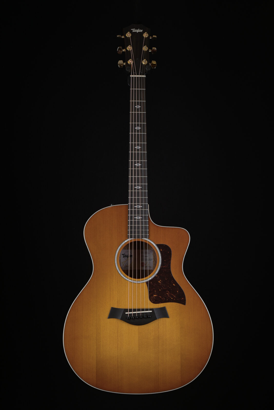 Taylor 214CE K DLX S.E.