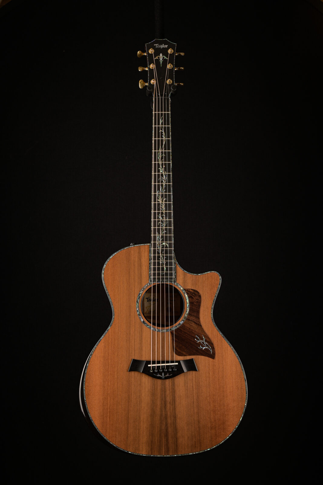 Taylor PS14CE