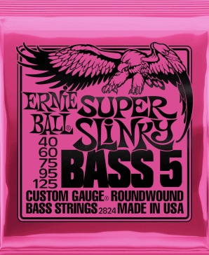 Ernie Ball 2824