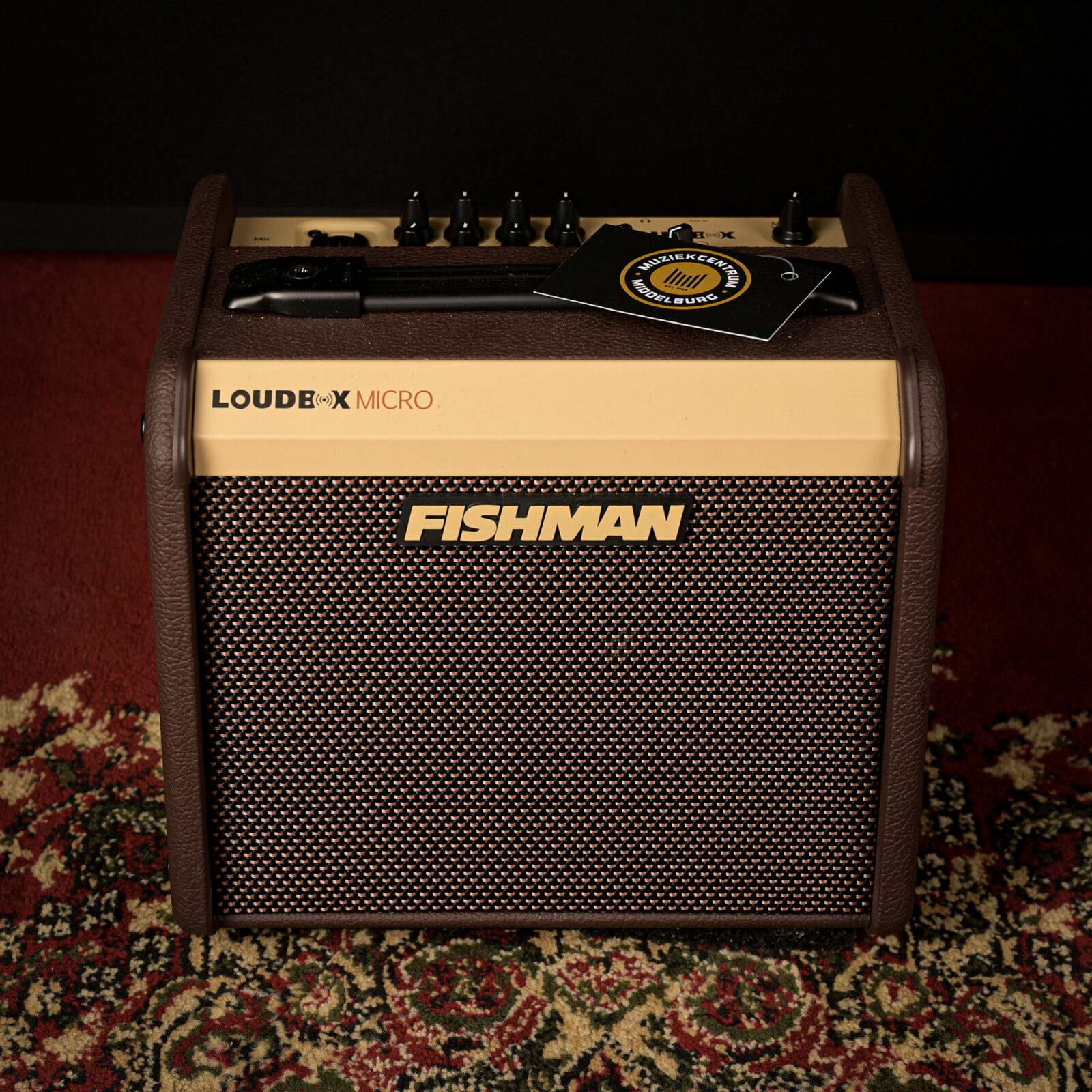 Fishman PRO-LBT-400