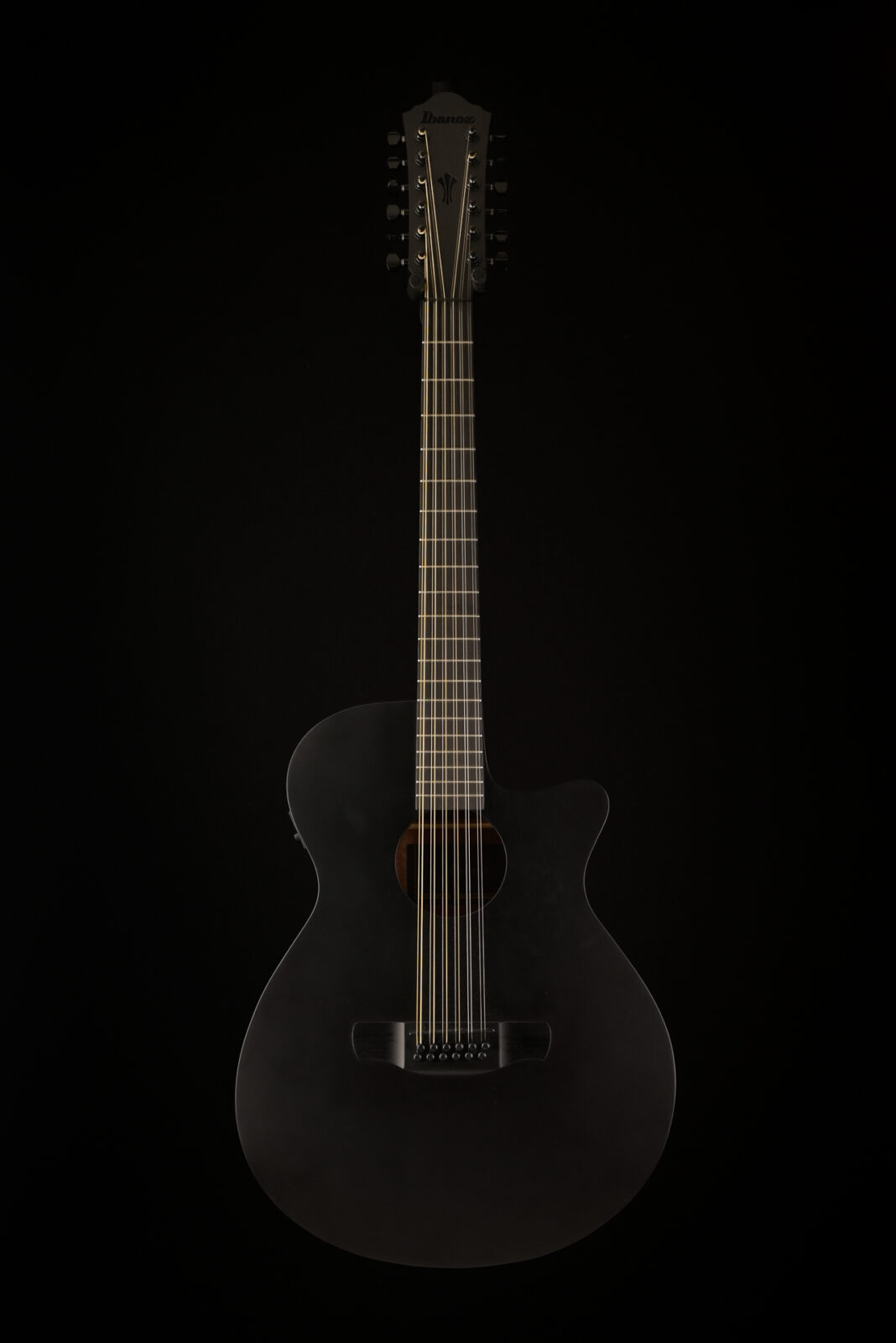 Ibanez AEG1221 BOT