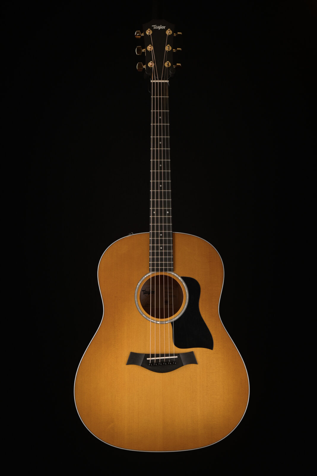 Taylor 217E PLUS HONEYBURST