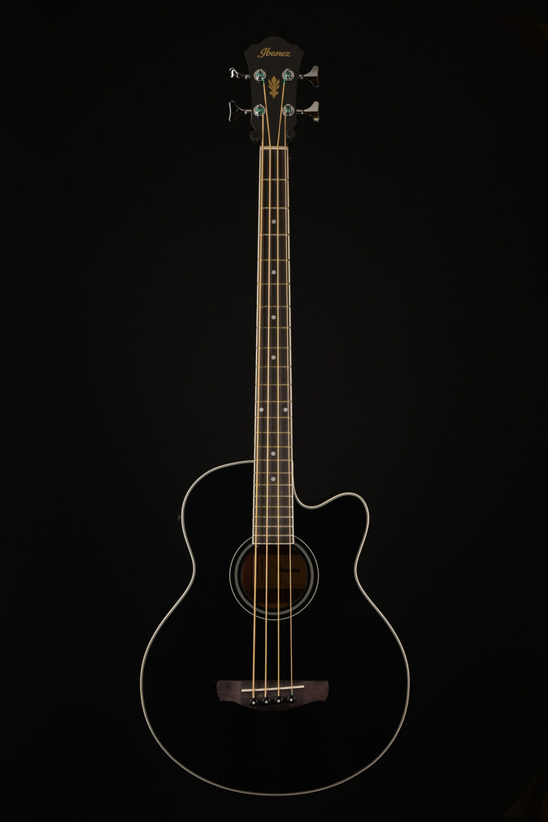 Ibanez AEB8EBK