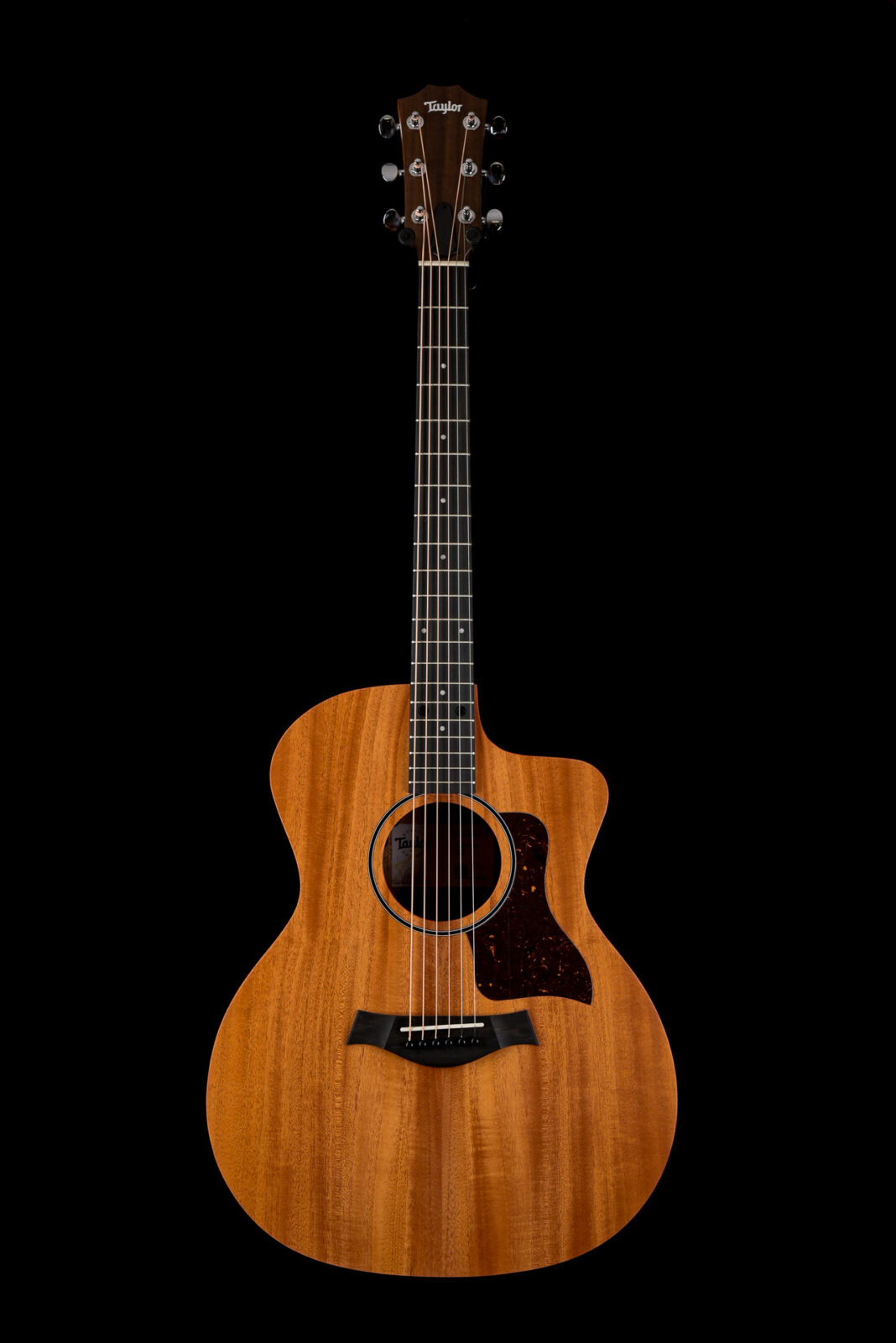 Taylor 24CE 99