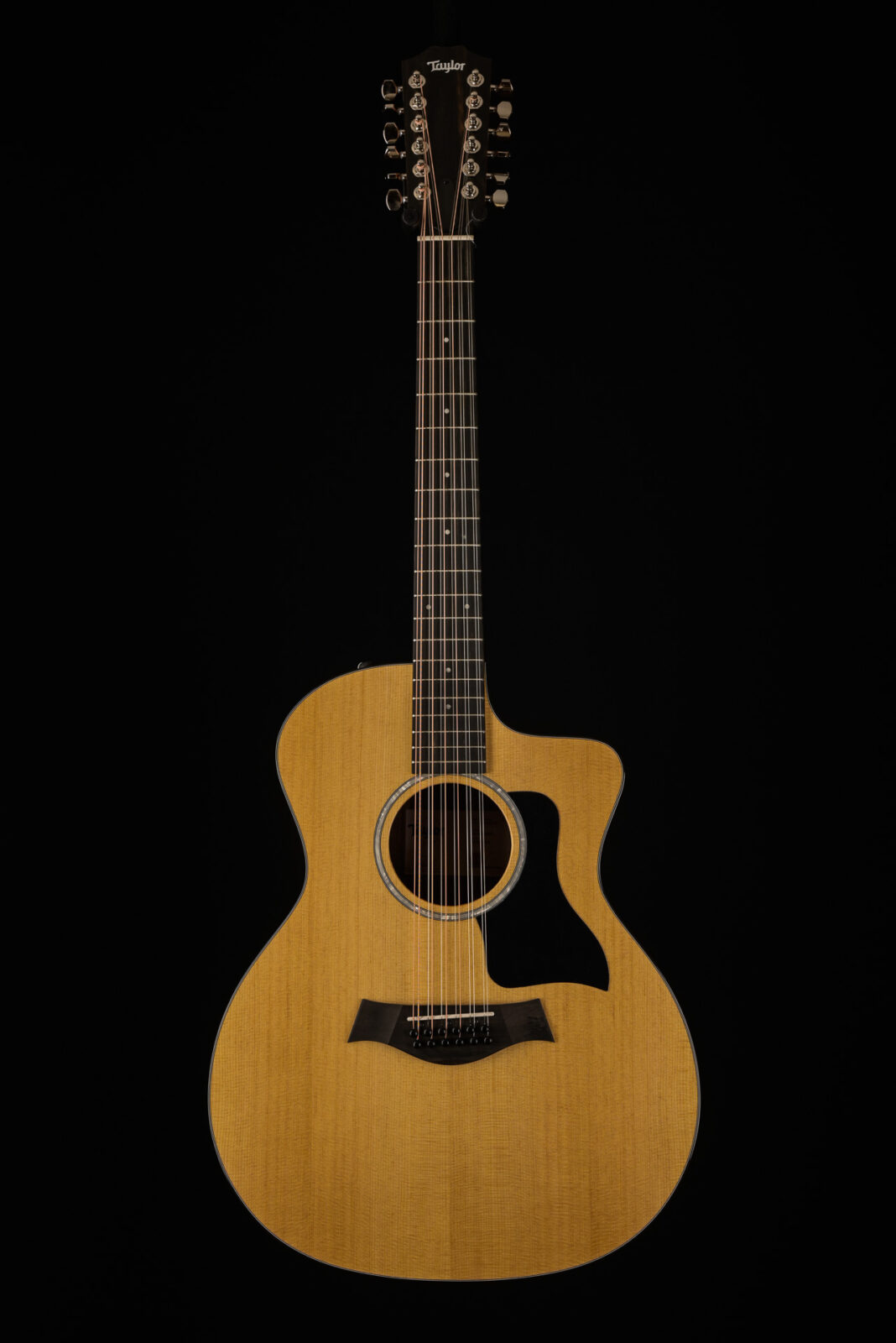 Taylor 254CE PLUS