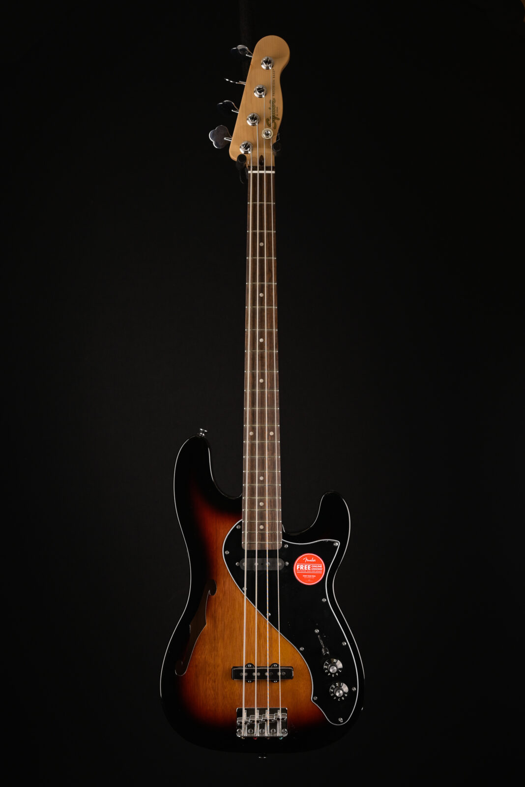 Squier PARANORMAL PRECISION BASS