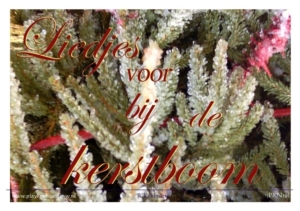 Play Keyboard Now Liedjes Voor bij de kerstboom -  Kuhlman