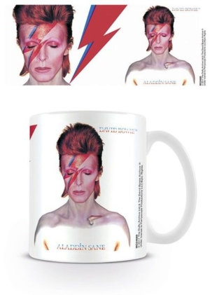 HITW MG24689 DAVID BOWIE