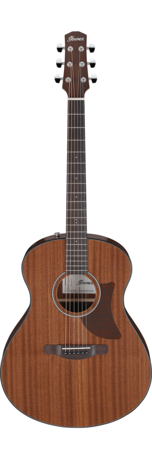 Ibanez AAM54OPN