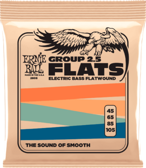 Ernie Ball 2805