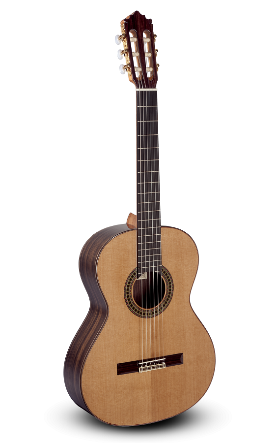 Paco Castillo 204