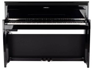 Medeli DP 650 KW GB