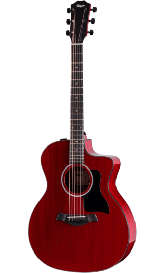 Taylor 224CE SPECIAL EDITION