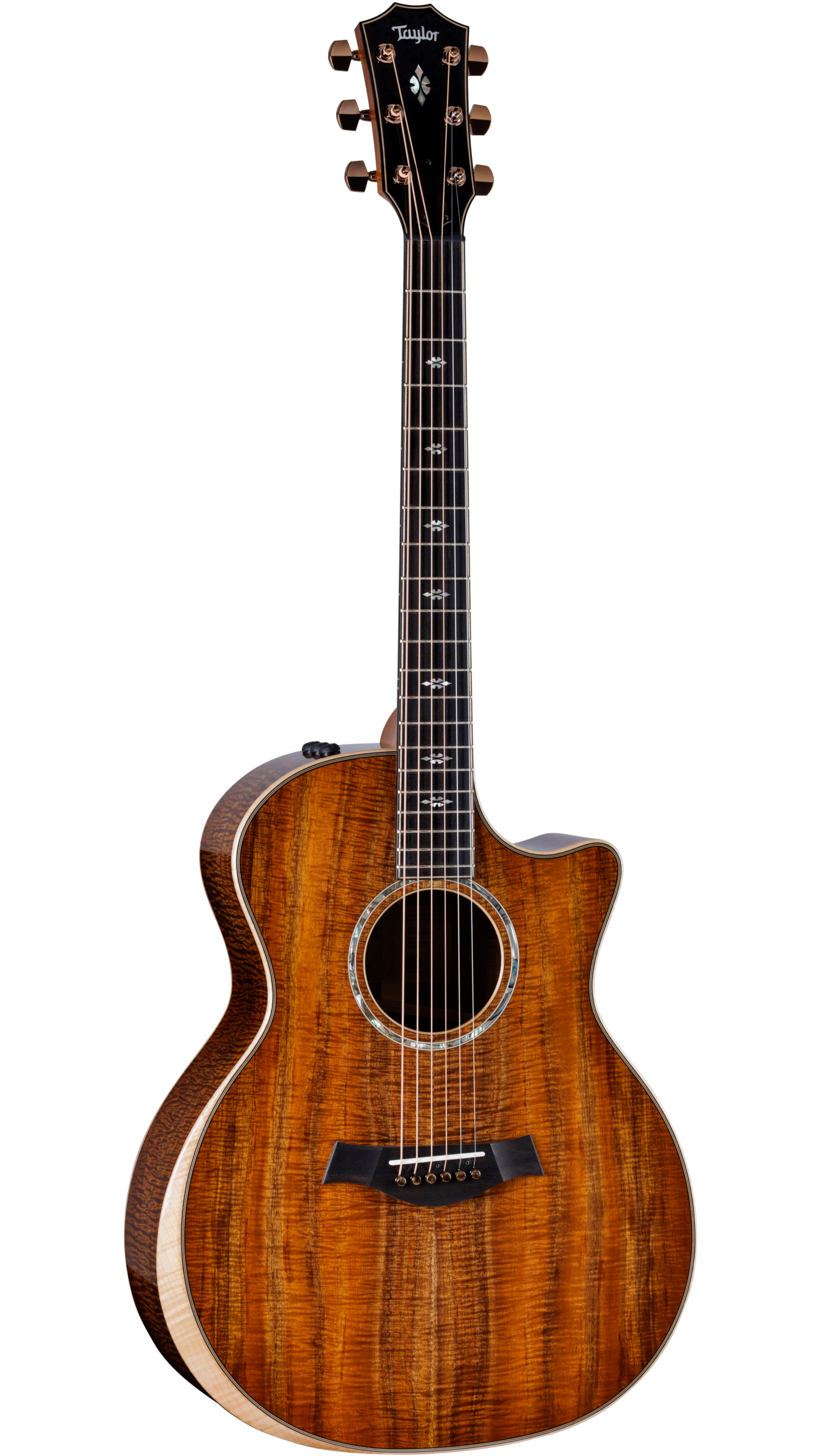 Taylor CUSTOM GA KOA