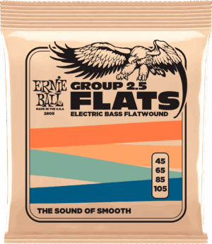 Ernie Ball 2805