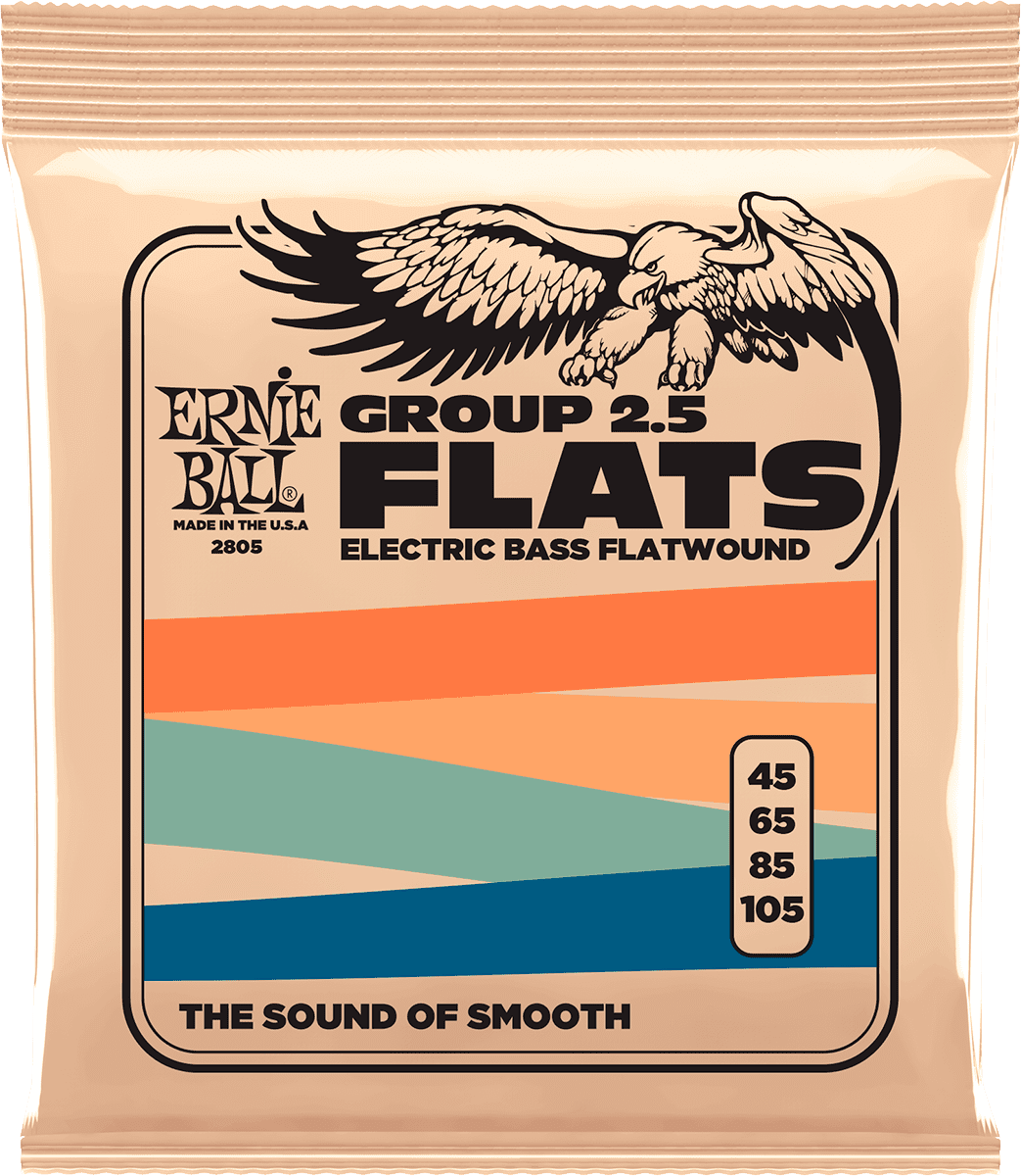 Ernie Ball 2805