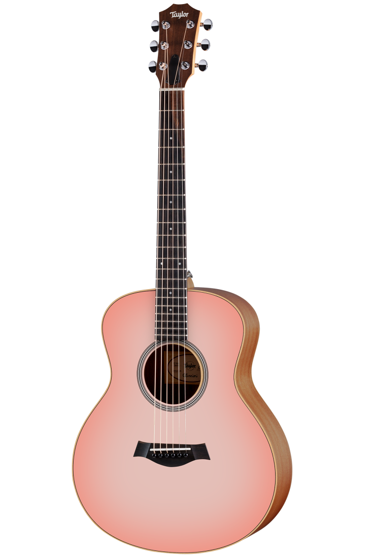 Taylor GS MINI E