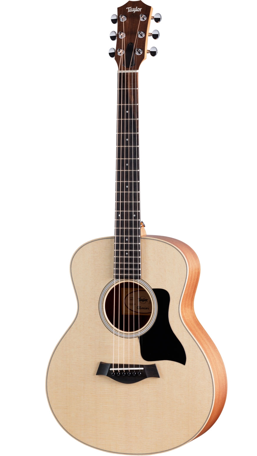 Taylor GS MINI